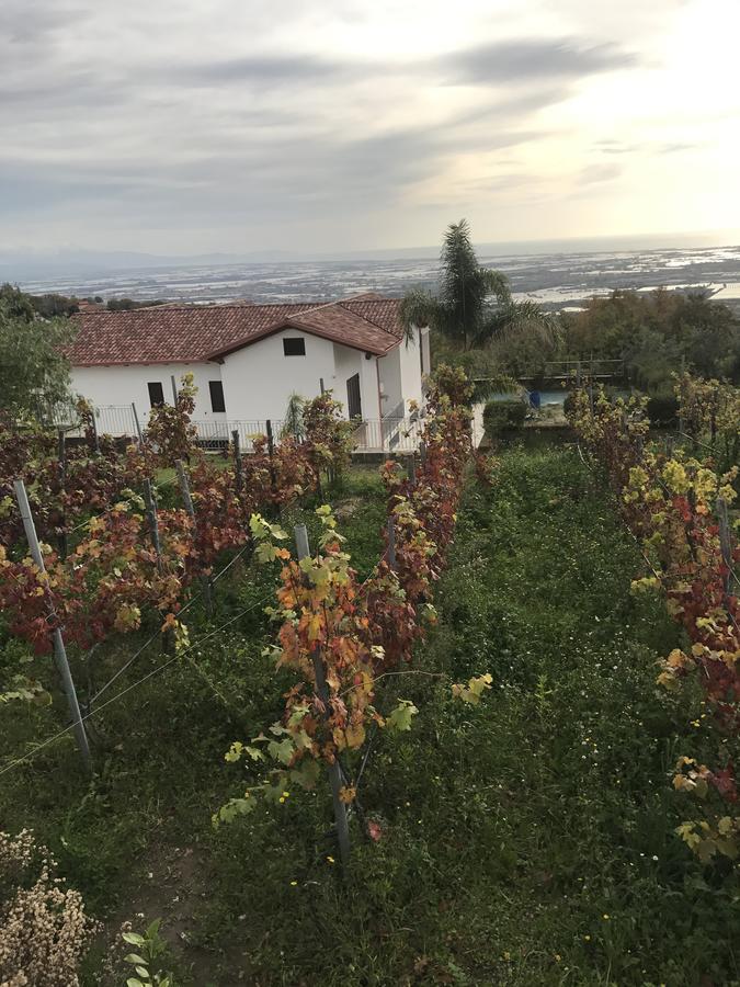 Villa panorama Montecorvino Pugliano Esterno foto